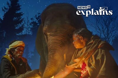 What is India's Oscars Gem 'Elephant Whisperers' About? A Look at True Story & Mudumalai Nat'l Park