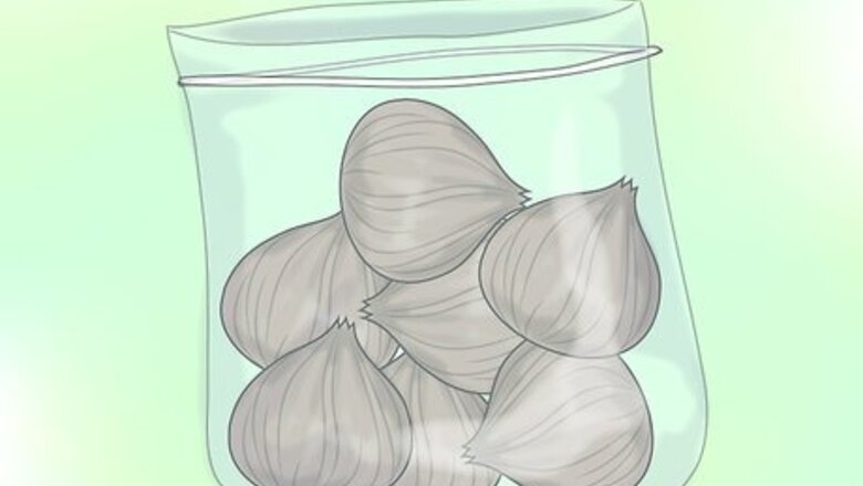 How to Grow Gladiolus