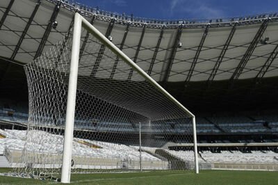 Goal Net from Brazil's World Cup Disaster Against Germany Sold for Charity