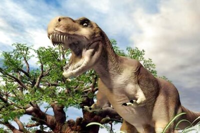 T-Rex Dinosaurs Were Only As Smart As Modern-day Reptiles, Reveals New Study