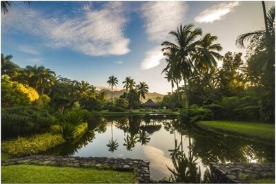 Will Wellness Tourism Grow Due to Covid-19?