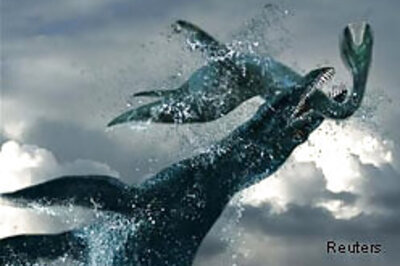 'Monster' fossil found in Norway