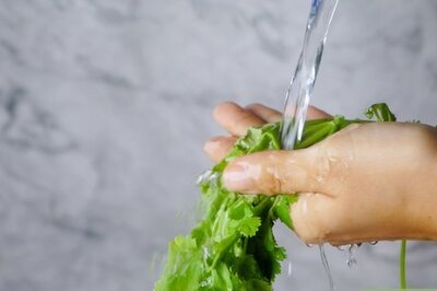 How to Dry Cilantro