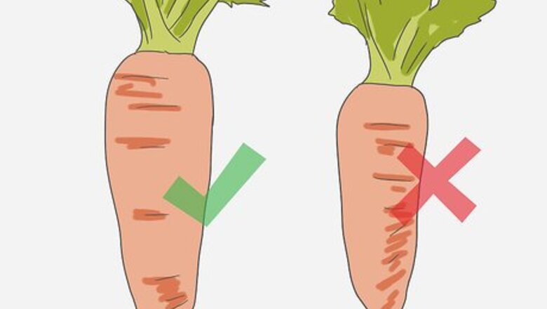 How to Select Carrots
