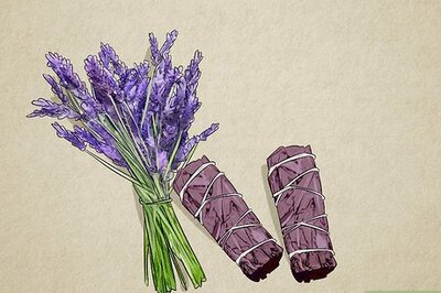 Which Herbs Are Best for Spiritual Protection? (20 Plants & Uses)