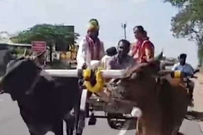 Coimbatore Bride, Groom Leave Wedding Venue In Bullock Cart; Video Viral
