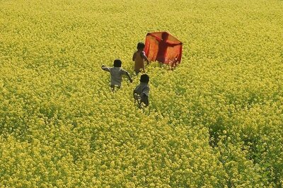 Villages in Gujarat ban single women from owning 'distracting' mobile phones