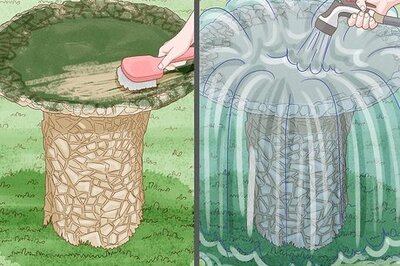 How to Keep Algae from Growing in Bird Bath
