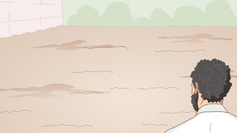 How to Grow Cayenne Peppers