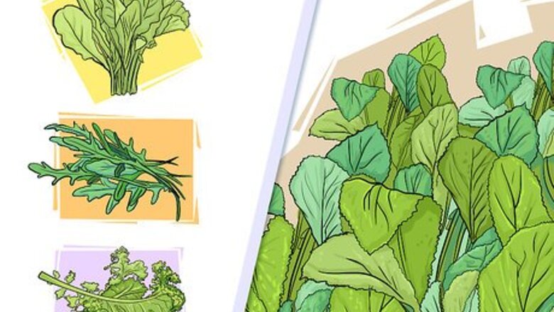 How to Choose Vegetables for a Shade Garden