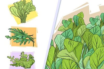 How to Choose Vegetables for a Shade Garden