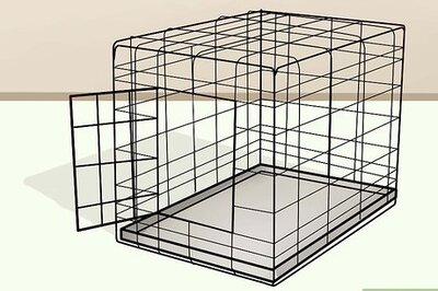 How to Train a Cocker Spaniel