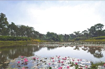 India’s ‘Pond Man’ gave his lucrative job to restore water bodies for a sustainable future