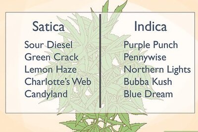 How to Tell the Difference Between Indica and Sativa