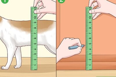 How to Fit a Cat Flap