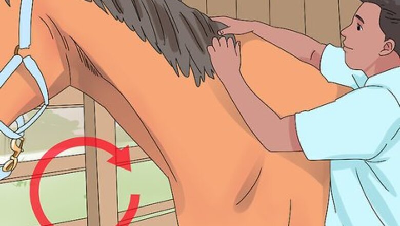 How to Pull a Horse's Mane