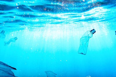 World Oceans Day 2022: Why Is Plastic Waste A Problem?