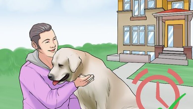 How to Adopt a Dog from a Humane Society or Animal Shelter