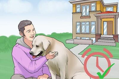 How to Adopt a Dog from a Humane Society or Animal Shelter