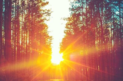 Aaj Ka Panchang, 1 May, 2024: Tithi, Vrat, And Today’s Shubh, Ashubh Muhurat