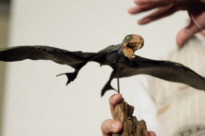 Pterosaurs were soaring fliers and light landers