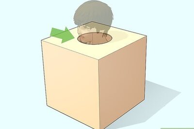 How to Make a Giraffe Costume