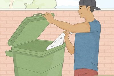 How to Deal with Aggressive Seagulls