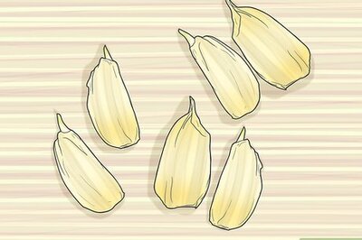 How to Grow Garlic in Water