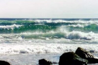 Arctic Ocean may be ice-free by 2050: expert