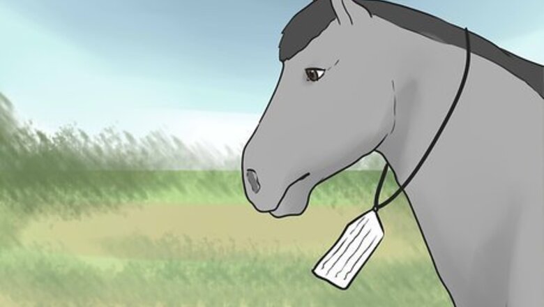 How to Create a Disaster Preparedness Plan for Your Horse