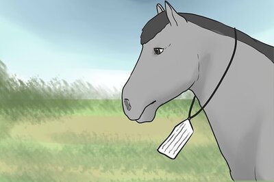 How to Create a Disaster Preparedness Plan for Your Horse