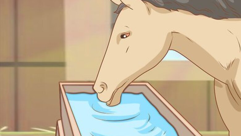How to Feed a Horse
