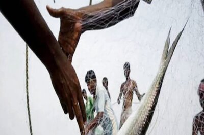 Bangladesh Fisherman Overjoyed After Catching Huge Catla Fish, Sells it for Rs 26,000