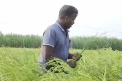 68-year-old Tamil Nadu Woman Goes The Organic Way After 45 Years Of Artificial Farming