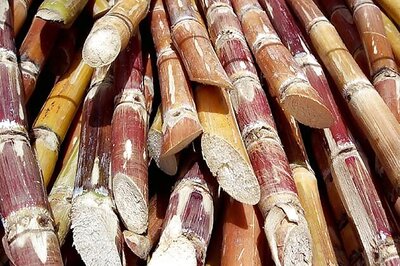 BJP, SP locked in war of words over sugarcane price