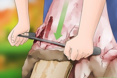 How to Tan a Deer Hide