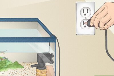 How to Clean Aquarium Filters without Killing Bacteria