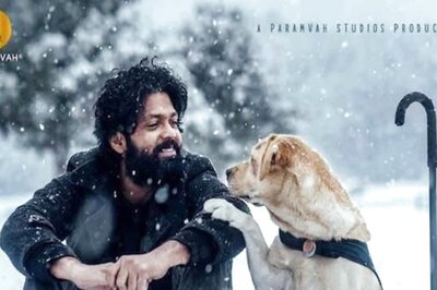 777 Charlie Day 5 Collection: Rakshit Shetty’s Film Continues To Do Decent Business