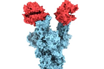 Sri Lanka Detects First Patient Infected with Delta Variant of Covid-19