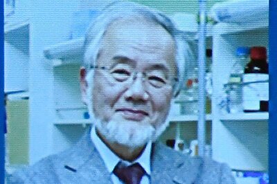 Yoshinori Ohsumi Wins Nobel Prize in Medicine For his Work on Autophagy