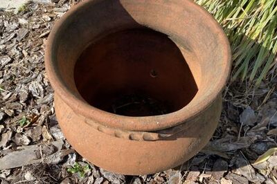 How to Automatically Water the Plants on Your Deck