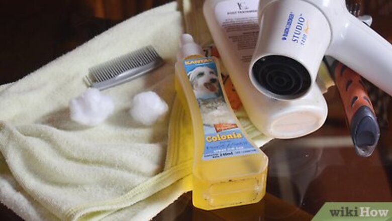 How to Groom a Dog