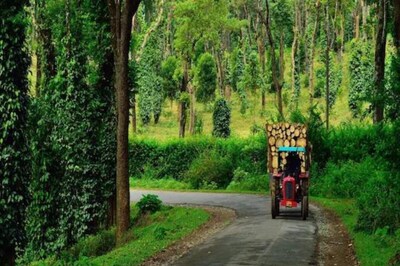From River Rafting to Visiting Coffee Plantations, Indulge in These Activities in Coorg