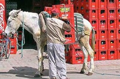 RJD makes donkeys down colas