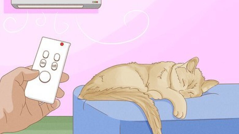 How to Cool Your Cat Down in the Summer