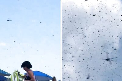'Out Of Horror Movie': Video Shows Massive Dragonfly Swarm Taking Over Rhode Island Beach