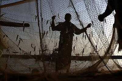 Seven fishermen arrested by Sri Lankan Navy