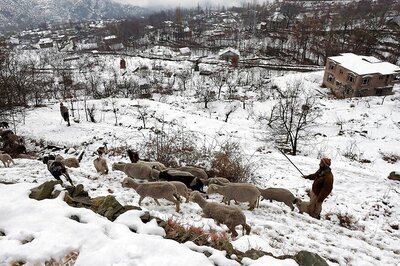 Cold Wave Continues as Kashmir Valley Braces for Rain, Snow