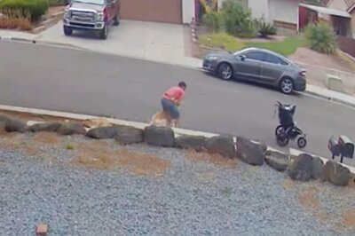 WATCH: Reddit Video Shows Man Ditching Stroller Carrying Baby to Save Dog