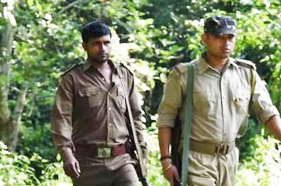 GSSSB Forest Guard Result 2024 Released; 6588 andidates Qualify